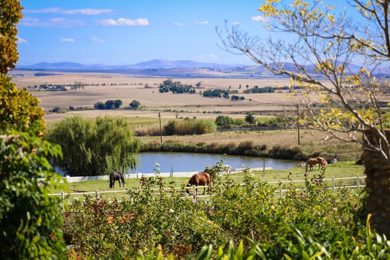 Landskroon Cottage Paarl Extérieur photo